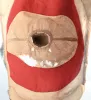 Officers Field cover with Maneuver Red Band Visuel 9